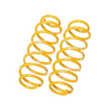 REAR COIL SPRING ASSY RH/LH