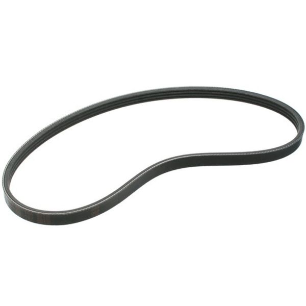 FAN BELT