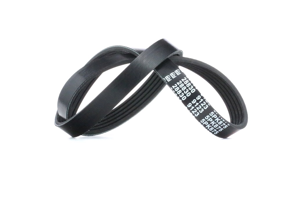 FAN BELT