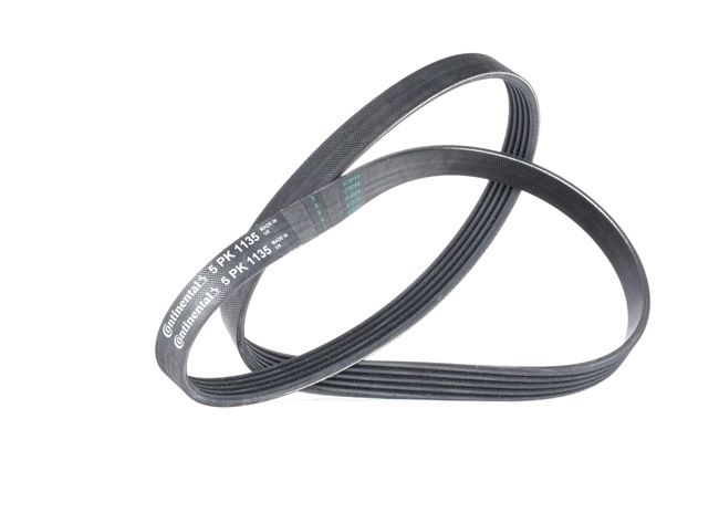 FAN BELT